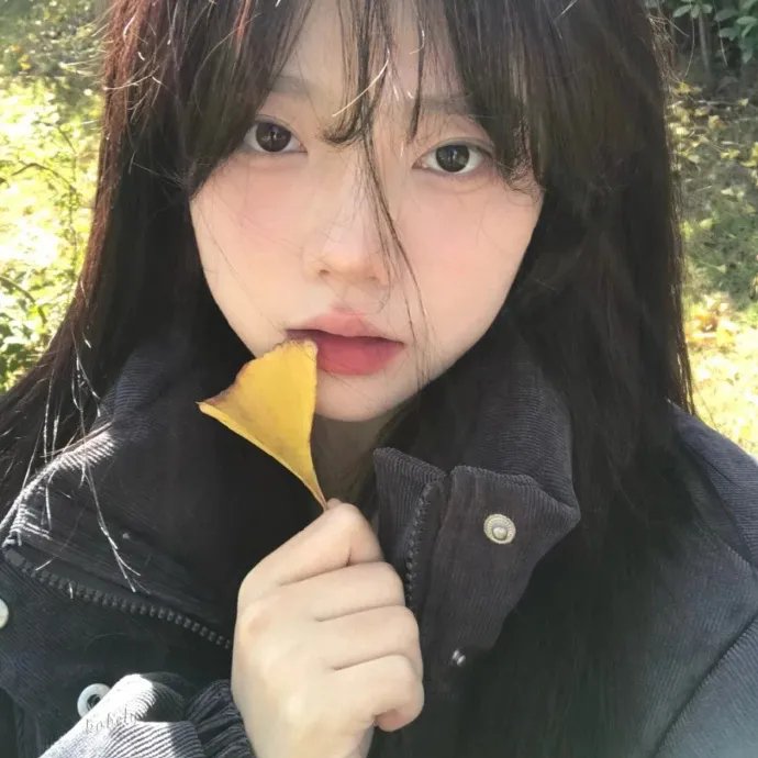 恣女木